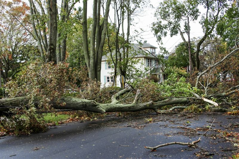 Post-Storm Debris Cleanup
