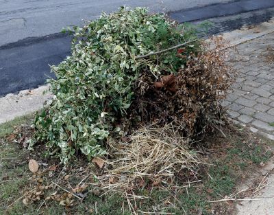 Yard Waste Collection